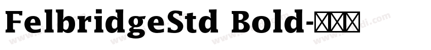 FelbridgeStd Bold字体转换